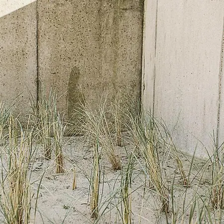 Aan Wal Sint-idesbald 公寓 科克赛德